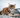 tail blazer scalgary Raw Food for Cats