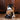 tail blazer scalgary Wet Dog Food