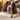 tail blazer scalgary Dental Dog Food