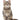tail blazer scalgary Adult Cat Food