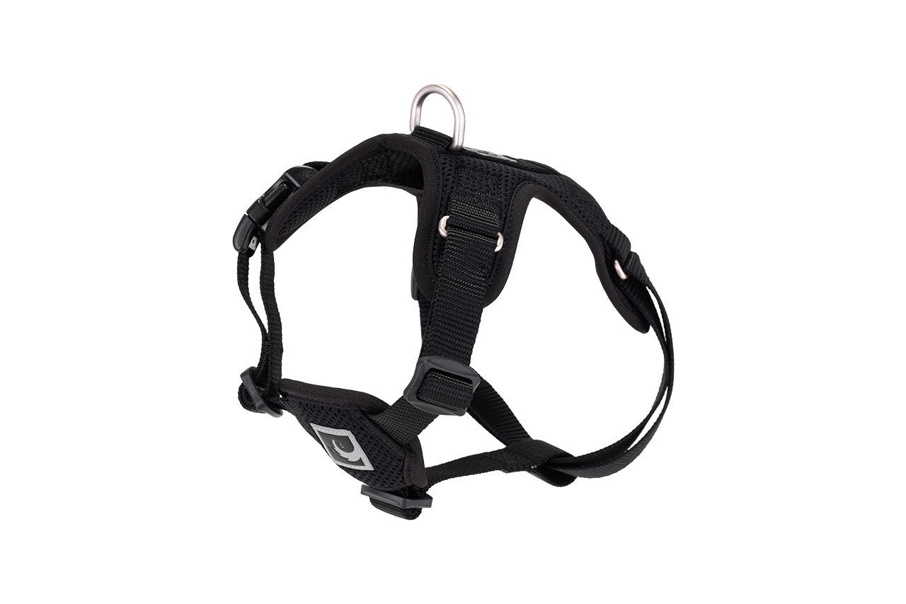 RC Forte Step In Harness