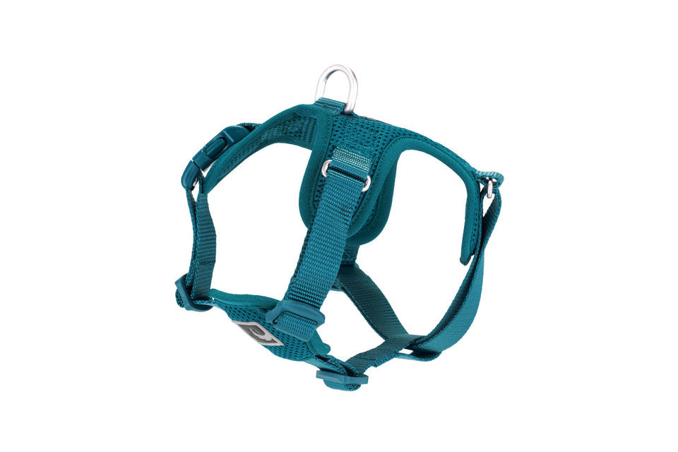 RC Forte Step In Harness