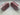 tail blazer scalgary 