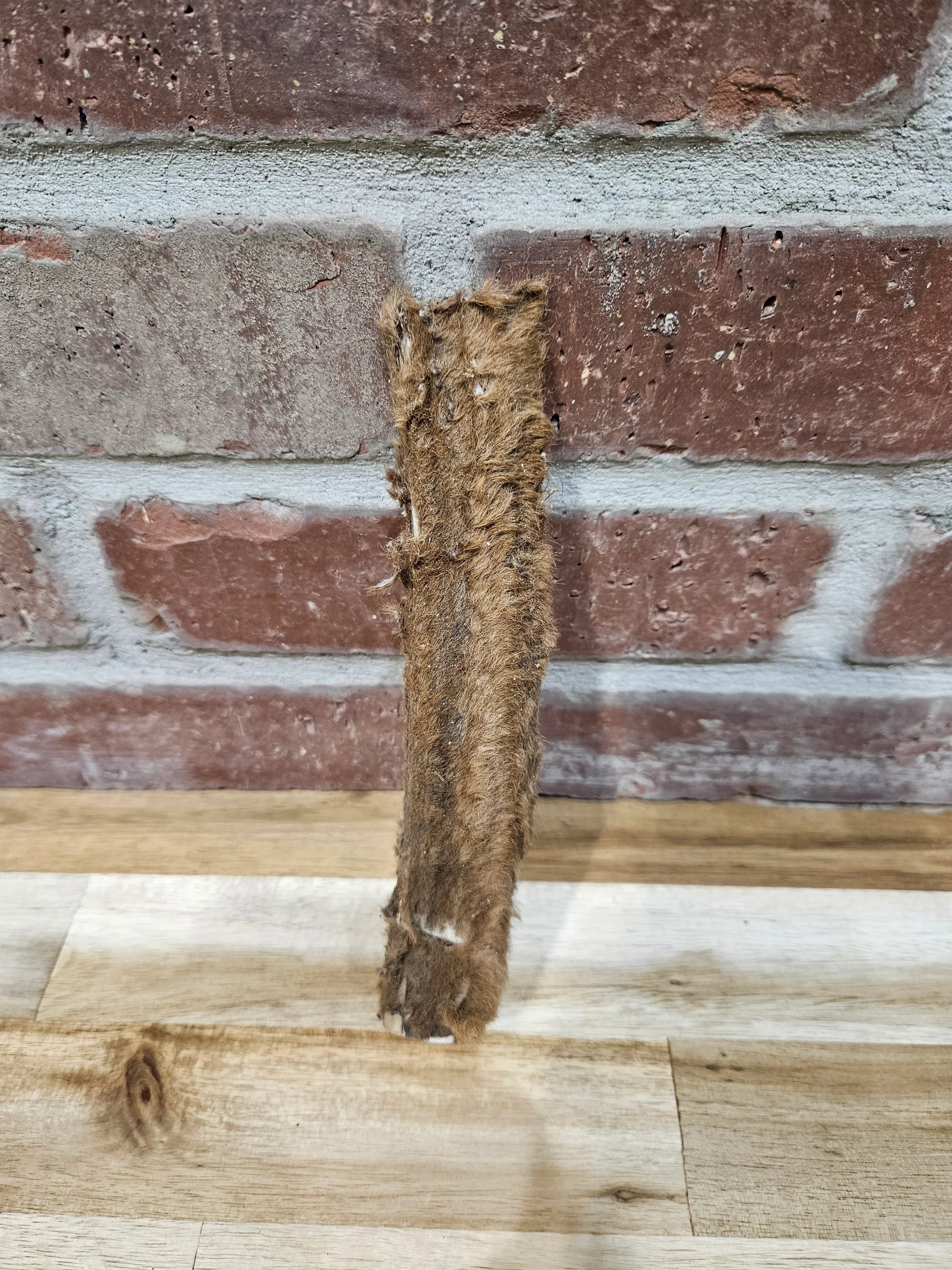 Golden Willow Elk Antler