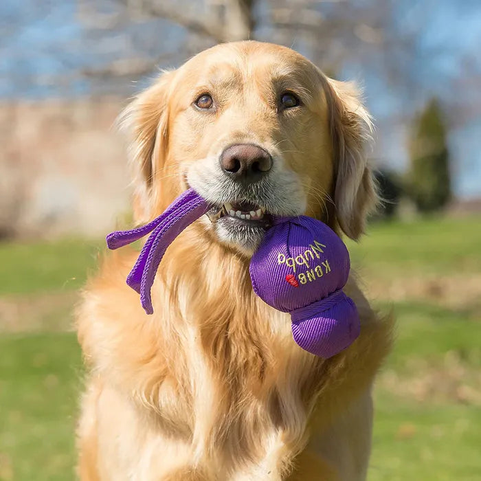 KONG Wubba Fetch Toy