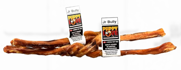 Puppy Love Beef Jr. Bully 9-10"