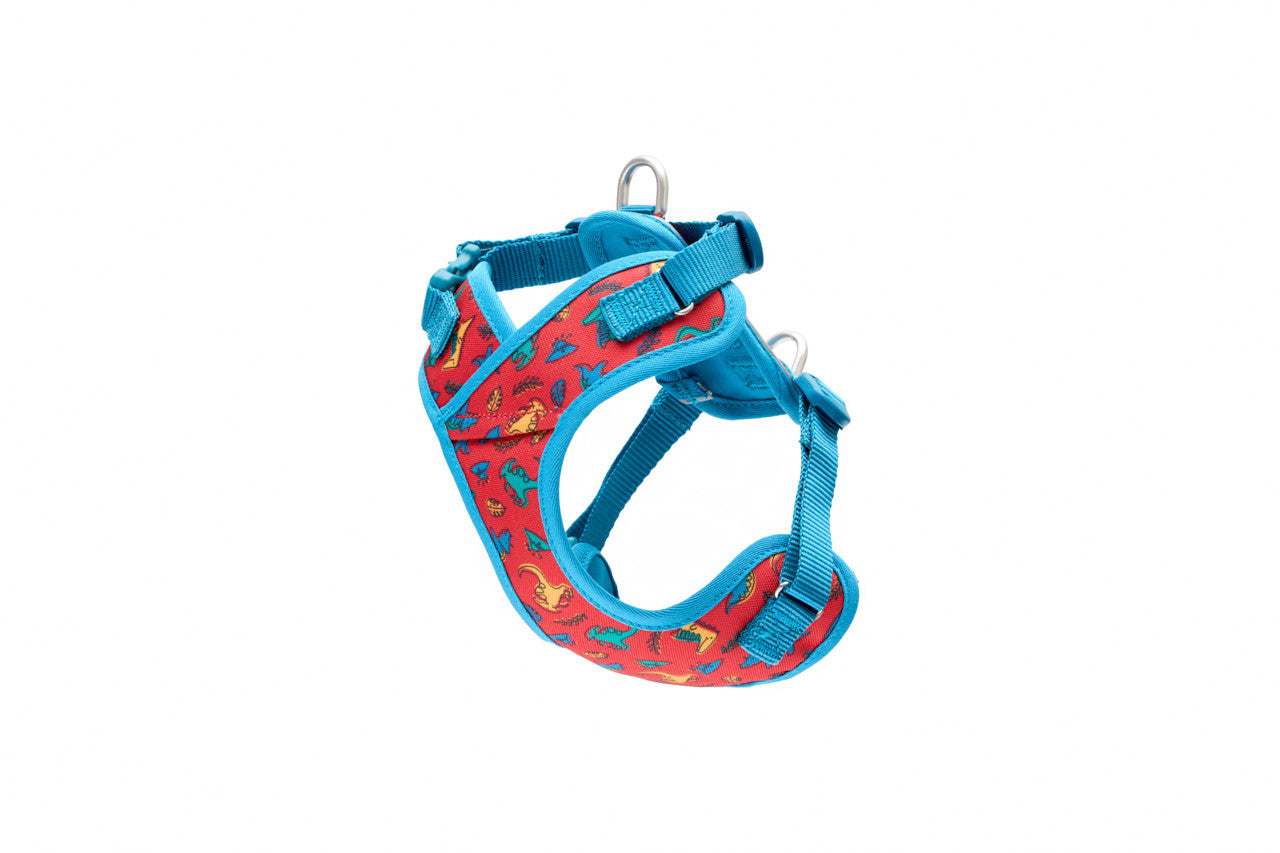 RC Pets Petite Explorer Harness