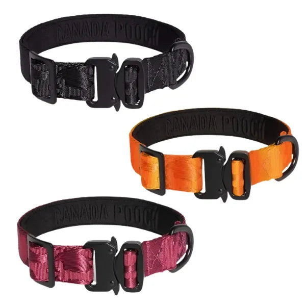 Canada Pooch Utility Collar