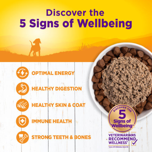 Wellness Complete Health Puppy Formula